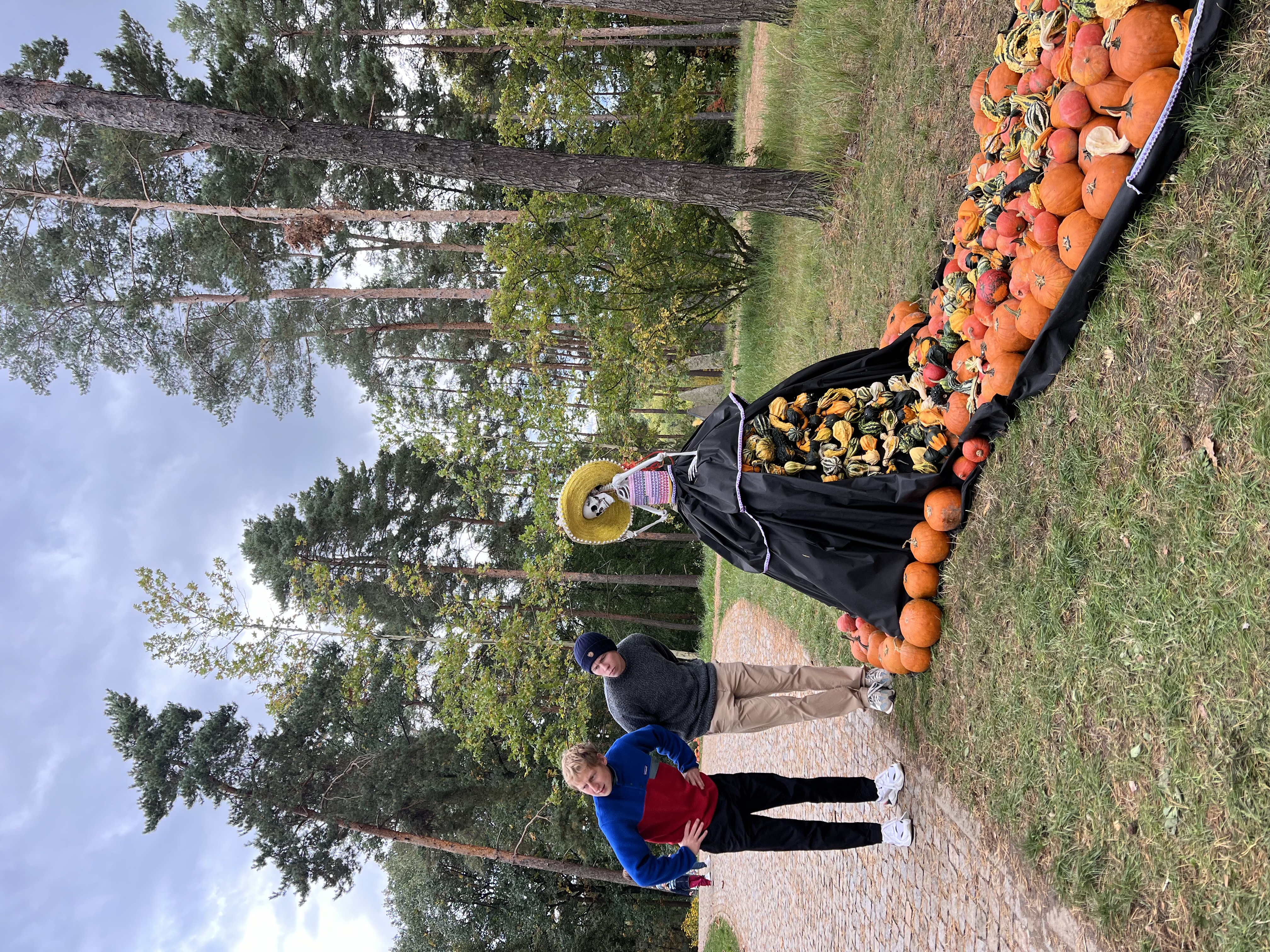 Botanical Garden Pumpkins 2024