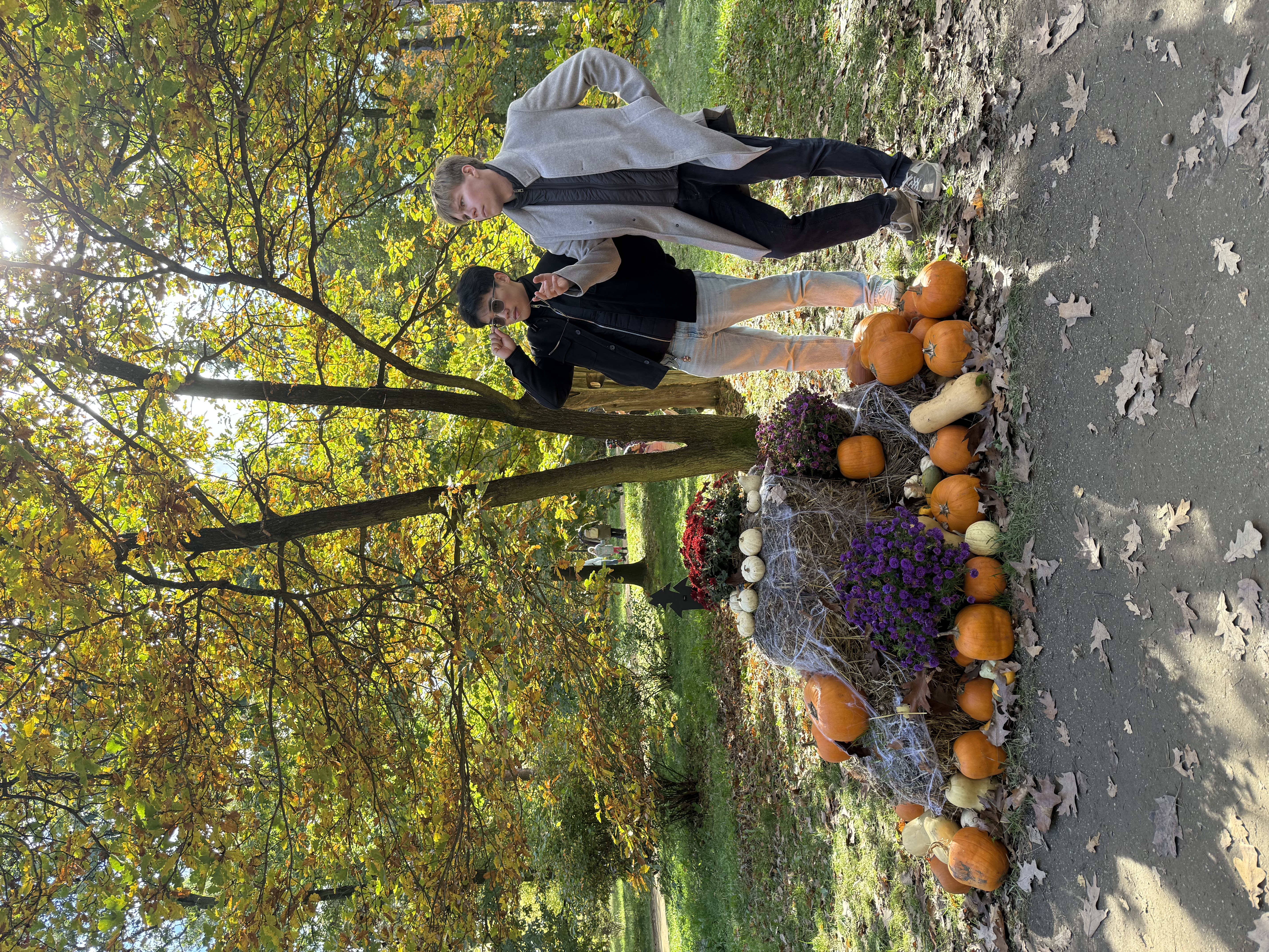 Botanical Garden Pumpkins 2025